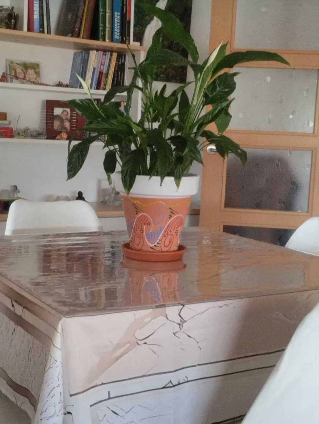 Flower pot with a flower on the table; the mat lies on the tablecloth, in the background there is a shelf with books